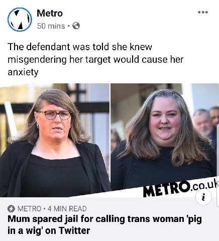 pig in a wig🤔🤔🤔