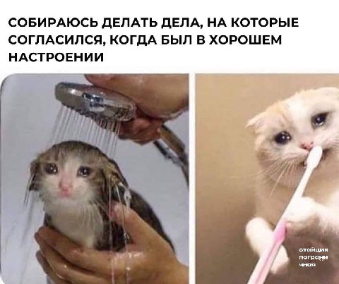СОБИРАЮСЬ ДЕЛАТЬ ДЕЛА, НА КОТОРЫЕ СОГЛАСИЛСЯ, КОГДА БЫЛ В ХОРОШЕМ НАСТРОЕНИИ iit пограни стайция чная