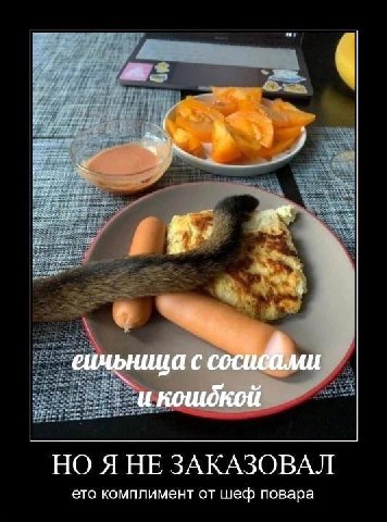 1 сичьница с НО Я НЕ ЗАКАЗОВАЛ ето комплимент от шеф повара
