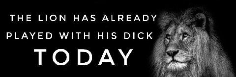 THE LION HAS ALREADY PLAYED WITH HIS DICK TODAY