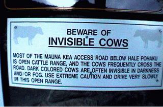 BEWARE OF INVISIBLE COWS MOST OF THE MAUNA KEA ACCESS ROAD BELOW HALE POHAKU OPEN CATTLE RANGE, AND THE COWS FREQUENTLY CROSS THE. DARK COLORED COWS INVISIBLE IN DARKNESS *NO/OR FOG. USE EXTREME CAUTI