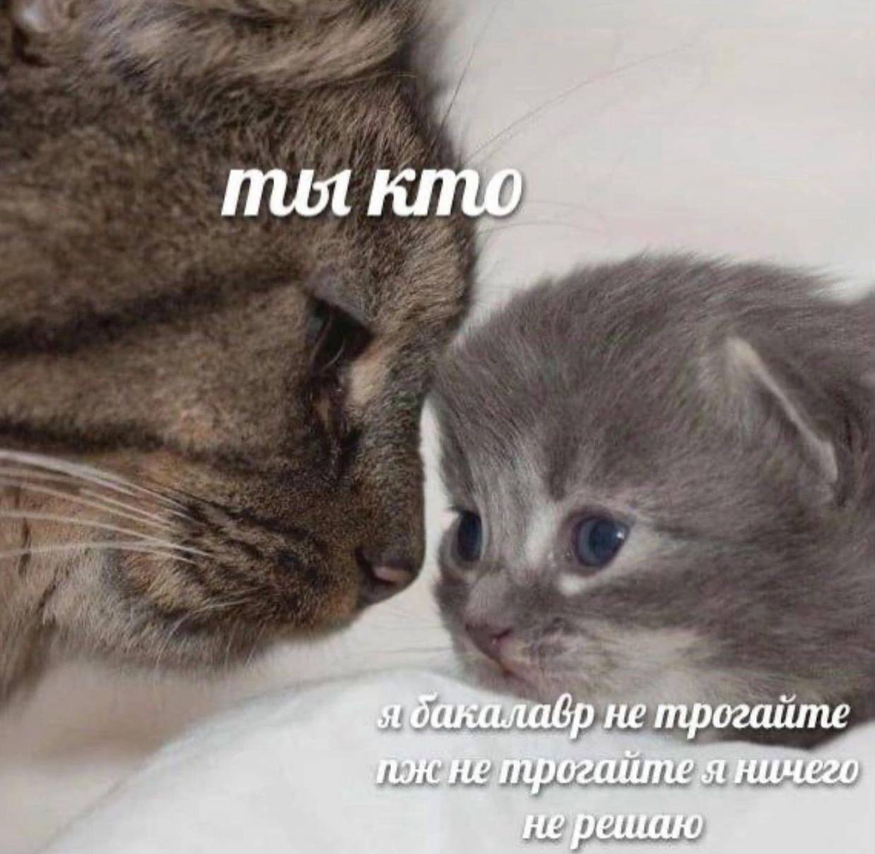 He трогайте