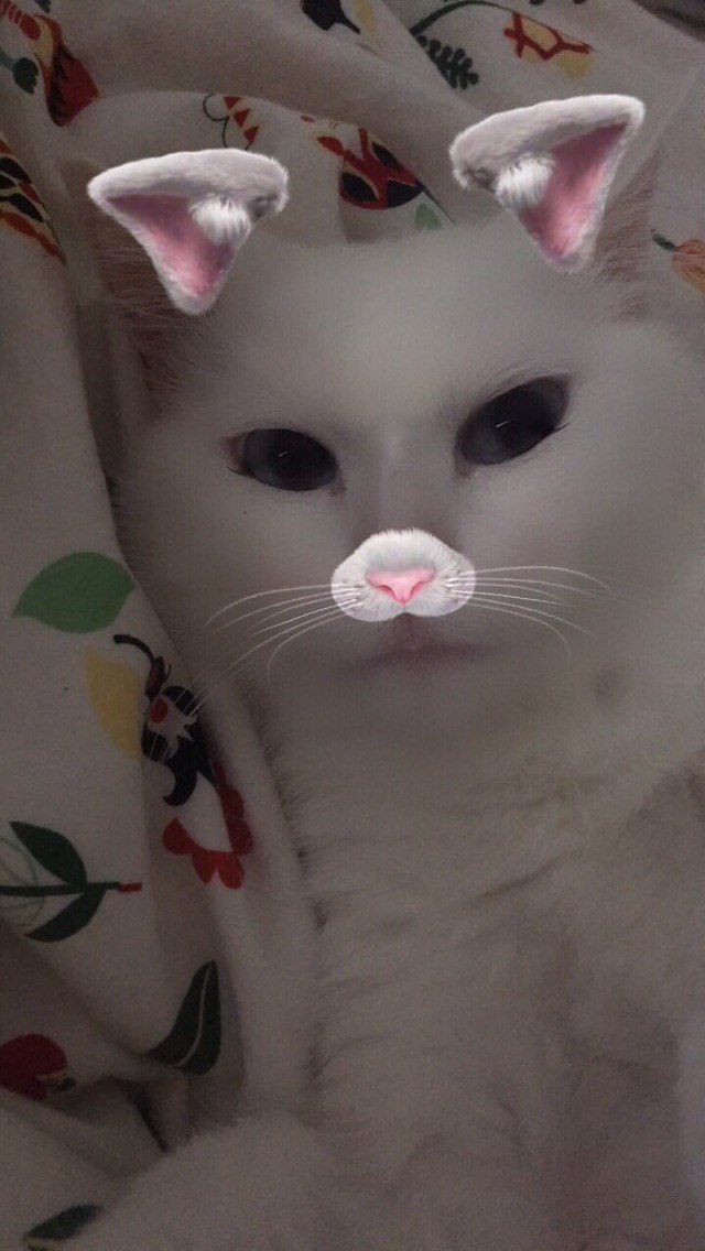 a! к Я wie Я a 3 i ort as a 4 3 у