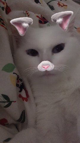 a! к Я wie Я a 3 i ort as a 4 3 у