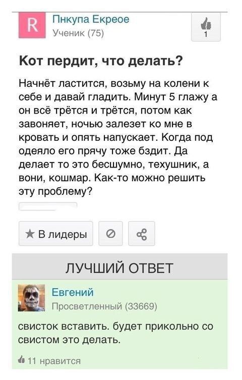 Пнкупа Екреое Ученик (75) 1 Кот пердит, что делать? Начнёт ластится, возьму на колени к себе и давай гладить. Минут 5 глажу а он всё трётся и трётся, потом как завоняет, ночью залезет мне в кровать и 