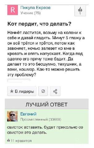 Пнкупа Екреое Ученик (75) 1 Кот пердит, что делать? Начнёт ластится, возьму на колени к себе и давай гладить. Минут 5 глажу а он всё трётся и трётся, потом как завоняет, ночью залезет мне в кровать и 