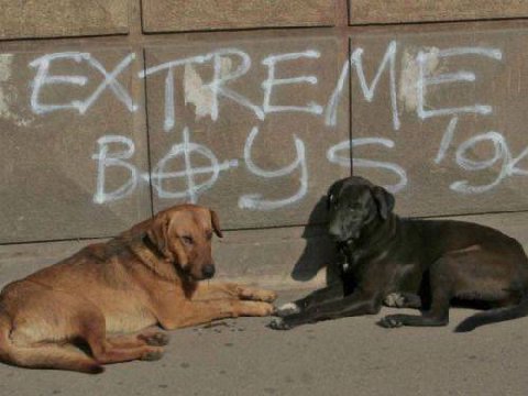 EXTREME