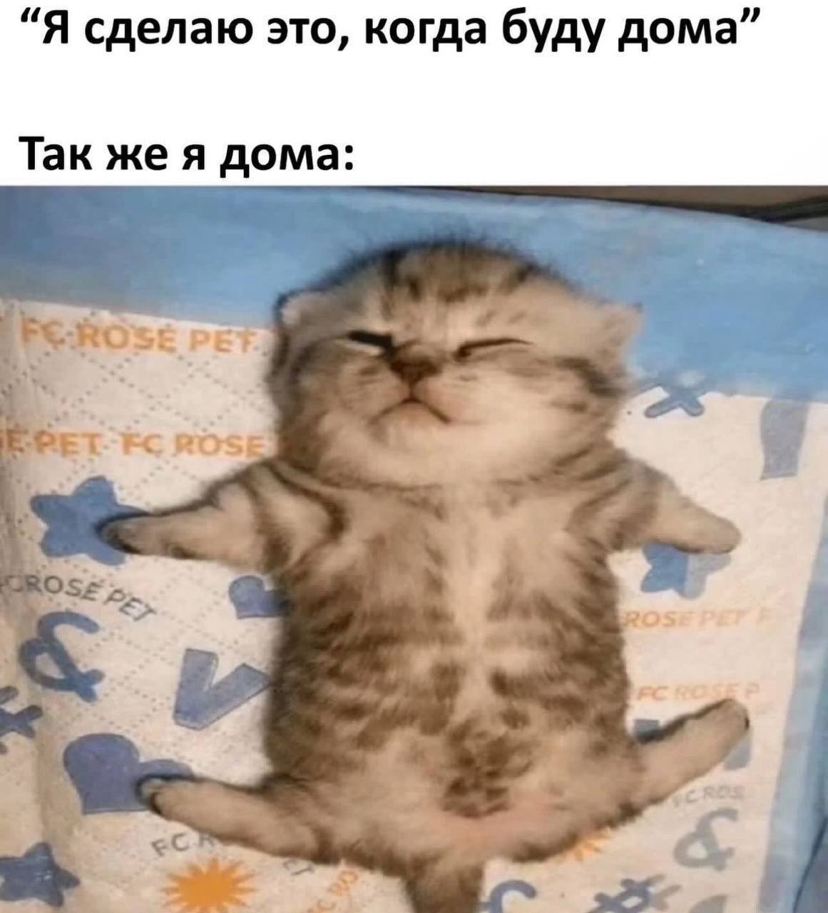 “Я сделаю это, когда буду дома” Так же я дома: ROS