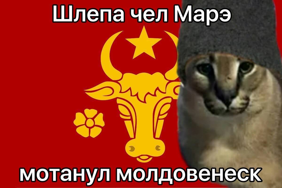 Шлепа чел Марэ мотанул молдовенеск