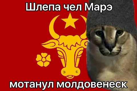 Шлепа чел Марэ мотанул молдовенеск