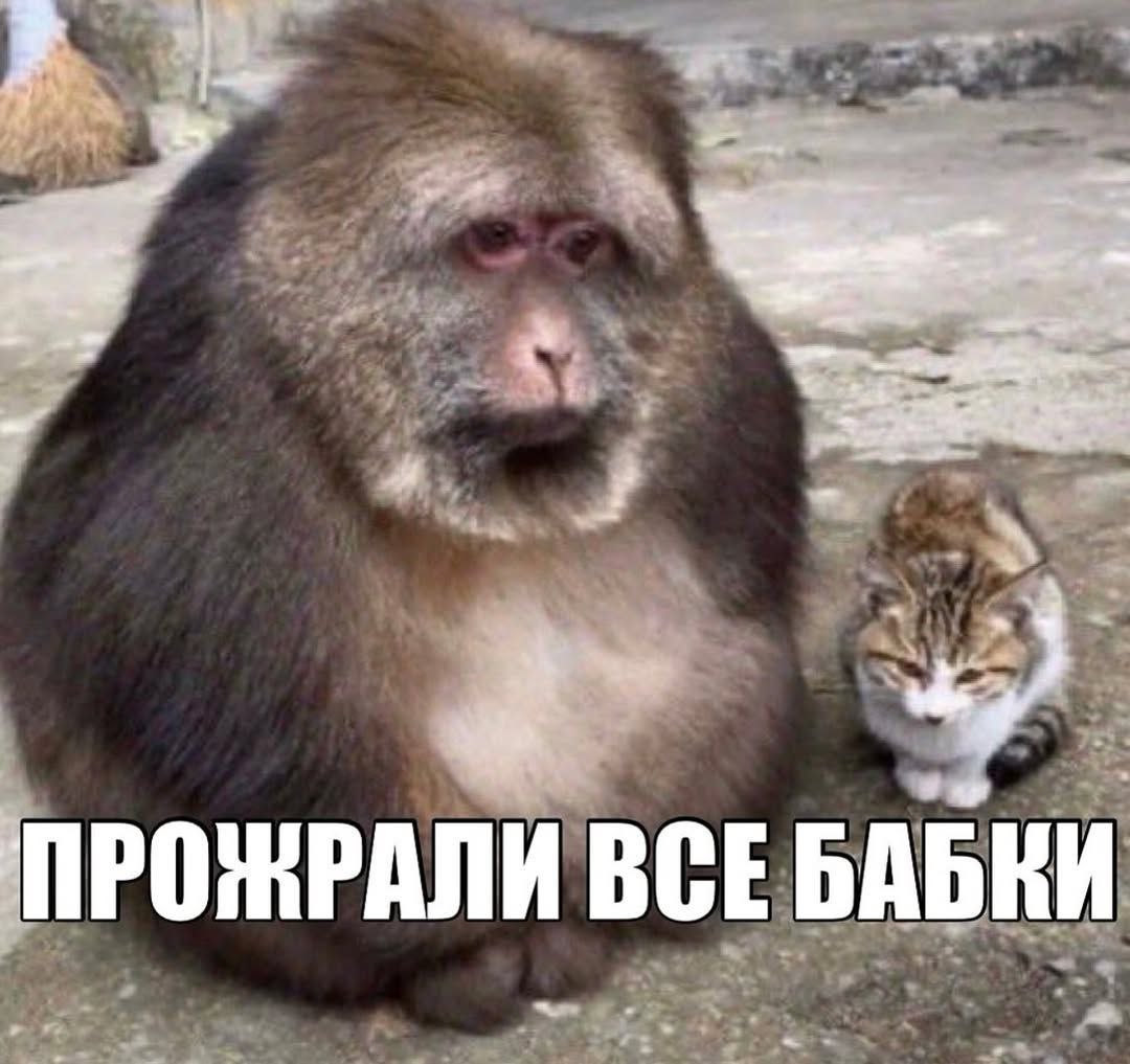 Не осуждаю
