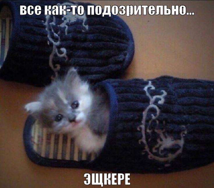 все как-то подозрительно... ЭЩЕЕРЕ