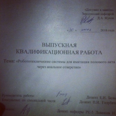 ВЫПУСКНАЯ ВАЛИФИКАЦИОННАЯ РАБОТА отехнические системы для имитации полового акта. через анальное отверстие»