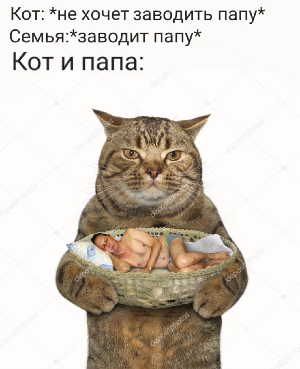 Кот: *не хочет заводить папу* папу* Кот и папа: