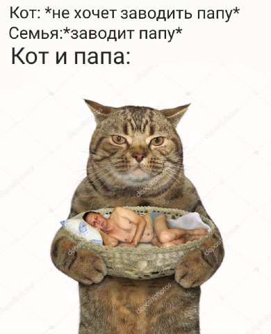 Кот: *не хочет заводить папу* папу* Кот и папа: