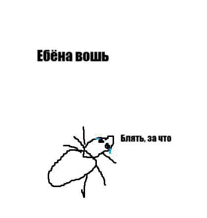 Ебёна вошь БЛЯТЬ, за что