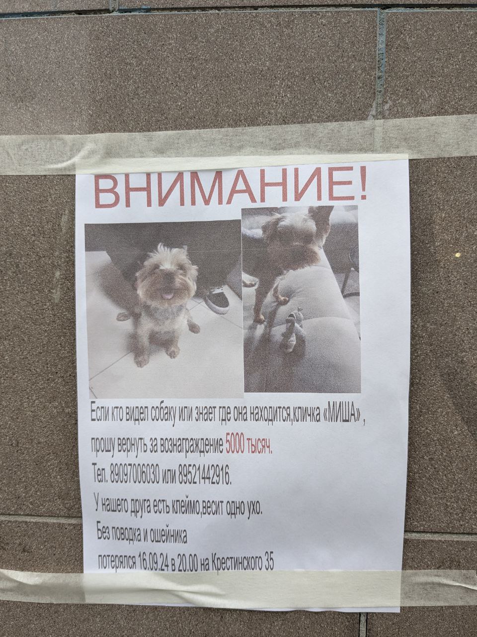 ВНИМАНИЕ ВНИМАНИЕ!