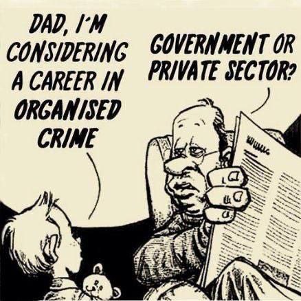 GOVERNMENT OR PRIVATE SECTOR? A CAREER ORGANISED CRIME a