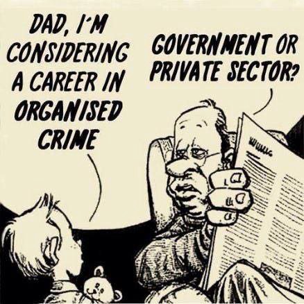 GOVERNMENT OR PRIVATE SECTOR? A CAREER ORGANISED CRIME a