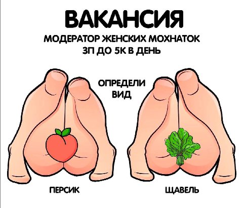 ВАКАНСИЯ МОДЕРАТОР ЖЕНСКИХ МОХНАТОК ДО ДЕНЬ ОПРЕДЕЛИ вид ПЕРСИК ЩАВЕЛЬ
