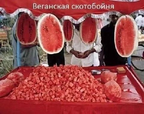 Веганская скотобойня