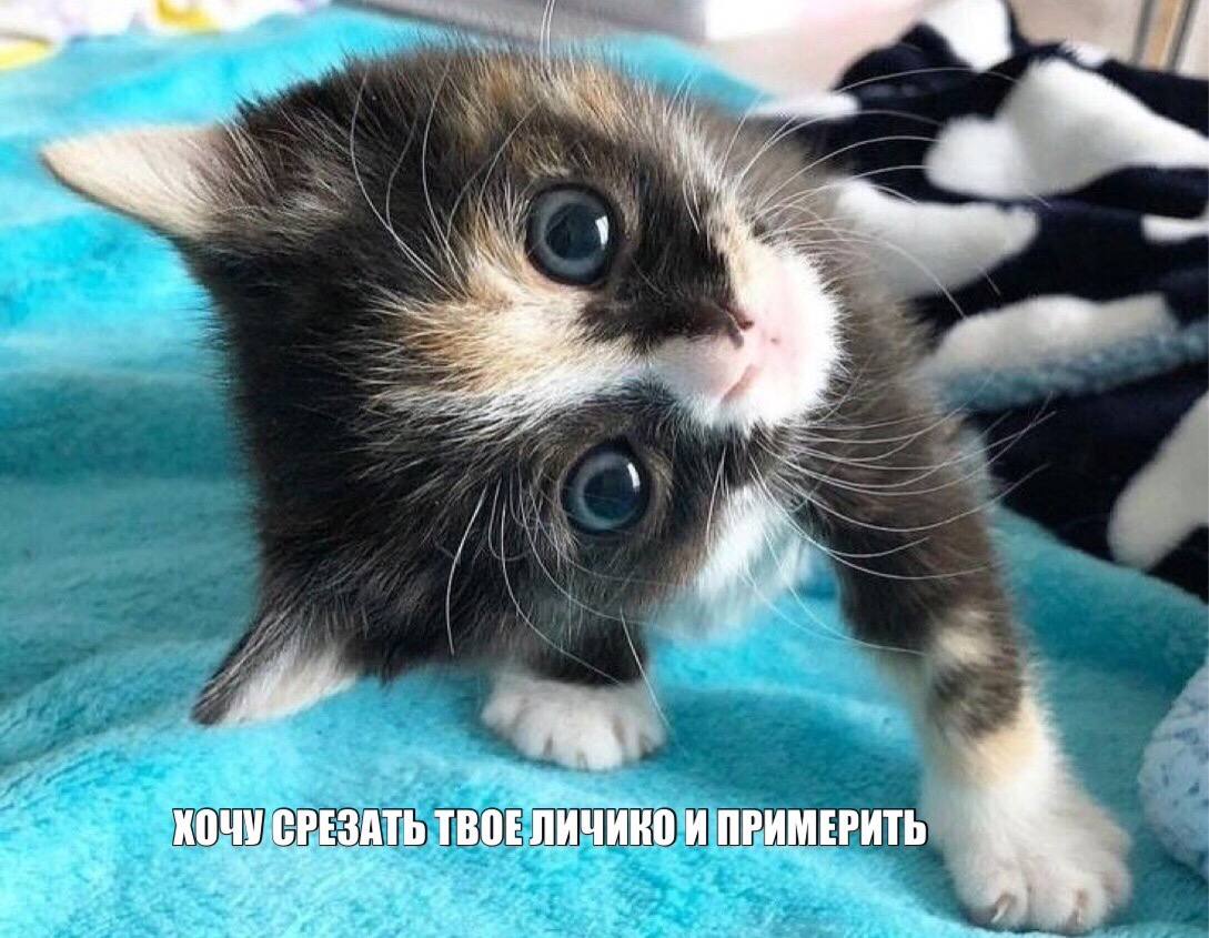 i у 2 7 КОЧУСРЕЗАТЬ ТВОЕЛИЧИНО И ПРИМЕРИТЬ