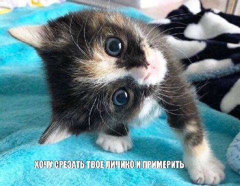 i у 2 7 КОЧУСРЕЗАТЬ ТВОЕЛИЧИНО И ПРИМЕРИТЬ