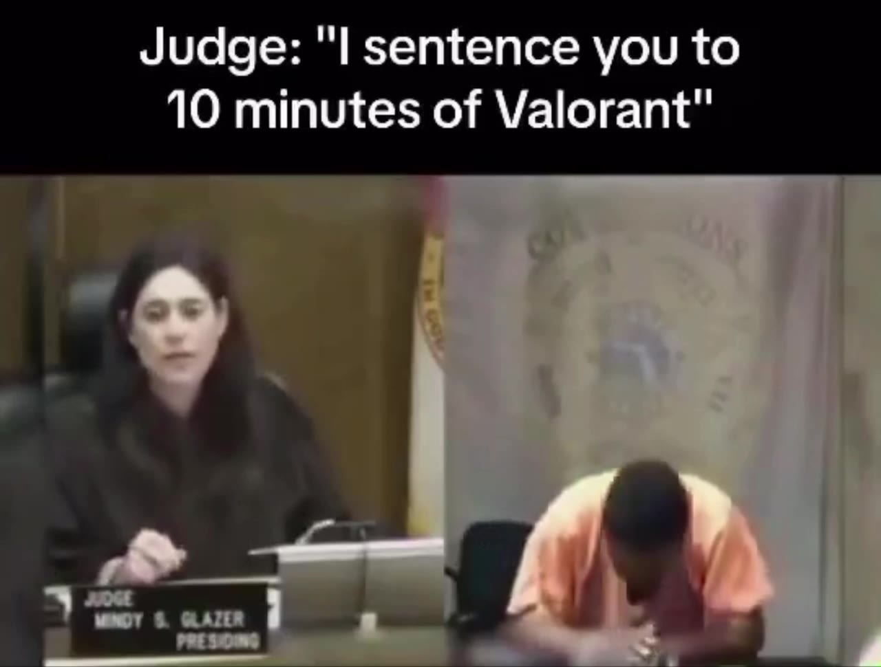 Judge: "| sentence you to 10 minutes of Valorant"