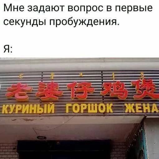 Мне задают вопрос в первые секунды пробуждения. Я: КУРИНЫЙ —ЖЕНА