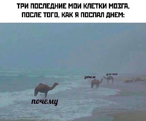 ТРИ ПОСЛЕДНИЕ МОИ КЛЕТКИ МОЗГА, ПОСЛЕ ТОГО, КАК Я ПОСПАЛ ДНЕМ: