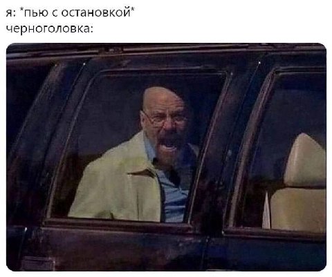 я: *пью с остановкой* черноголовка: