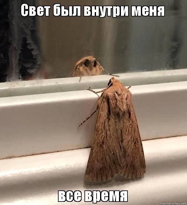 Свет был внутри меня