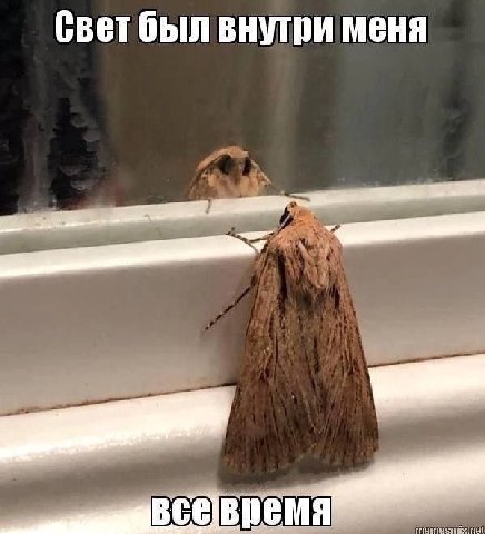 Свет был внутри меня