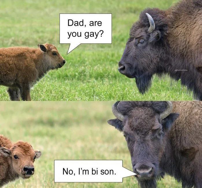 Dad, are you gay? No, son. Я