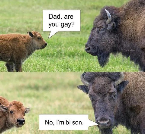 Dad, are you gay? No, son. Я