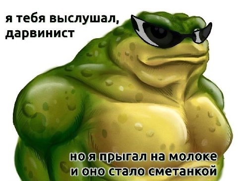 я тебя выслушал, дарвинист молоке