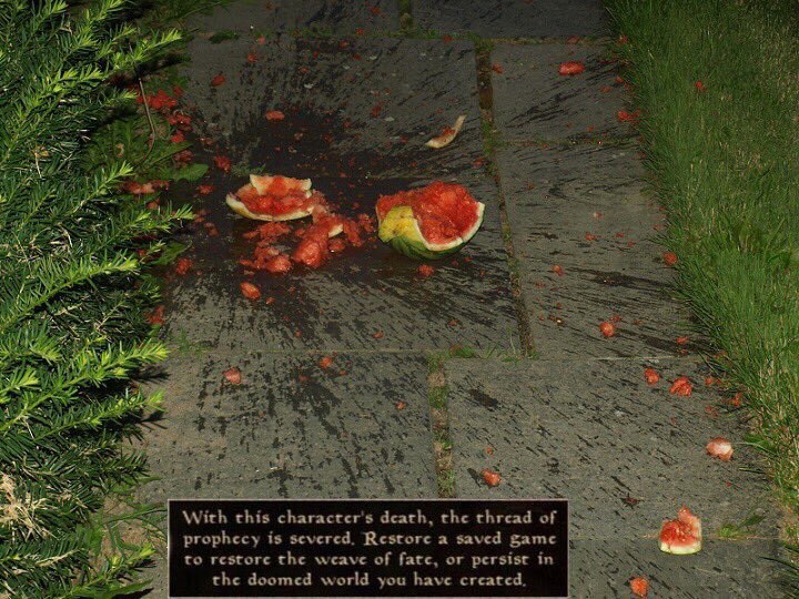 Я 2 я 5 i 2 1+ at я With this character's death, the thread of prophecy is severed. Restore a saved game to restore the weave of fatc, or persist in the doomed world you have created,
