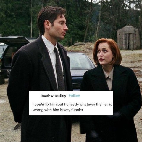 в. incel-wheatley Follow i could fix him but honestly whatever the hell is wrong with him is way funnier