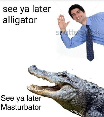 see later alligator See Masturbator