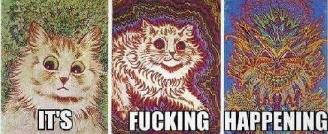 A a 27% 74 IT FUCKING