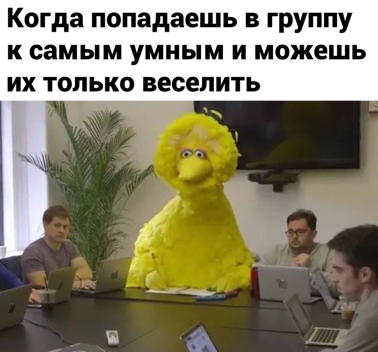 Когда попадаешь в группу к самым умным и можешь только веселить