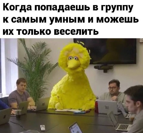 Когда попадаешь в группу к самым умным и можешь только веселить