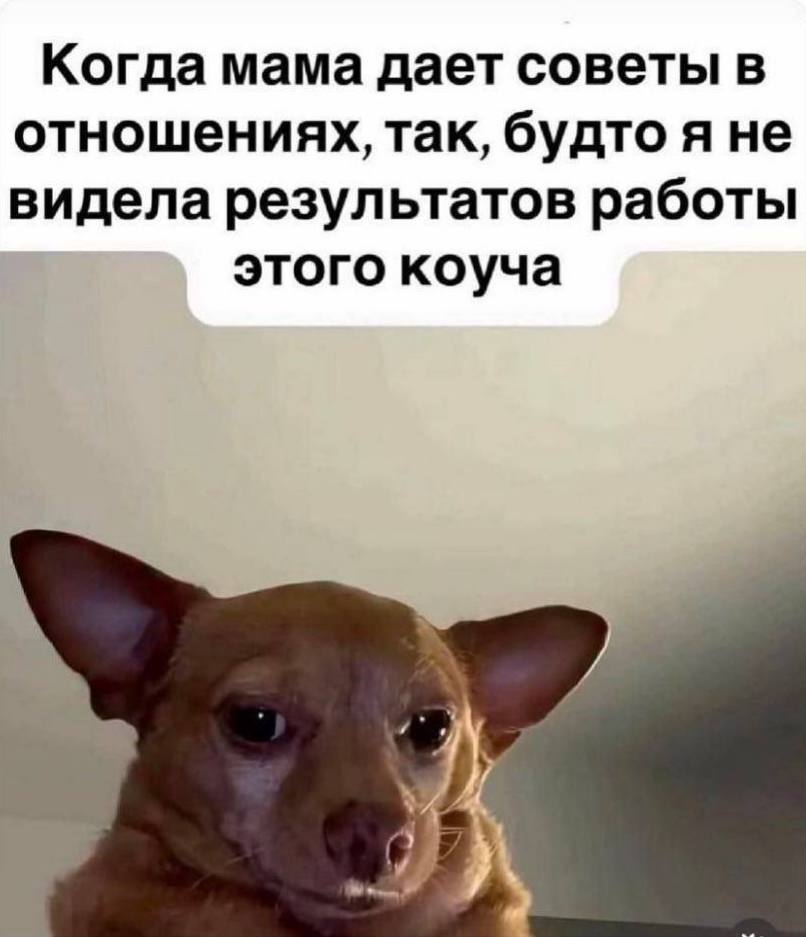 Когда мама дает советы в отношениях, так, будто я не видела результатов работы этого коуча
