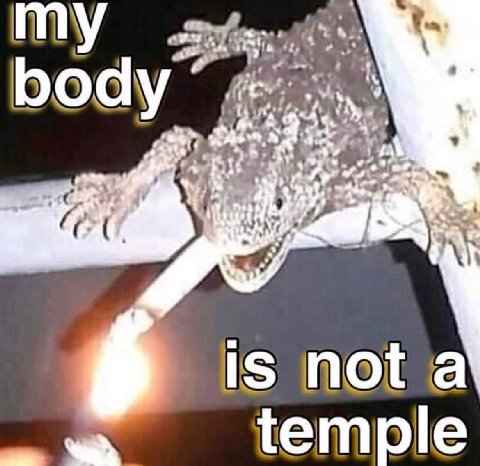bod у 5 temple