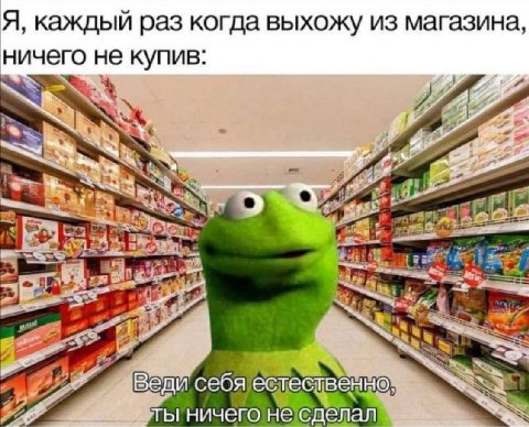 Я, каждый раз когда выхожу из магазина ничего не купив 2 Веди себя естественно ты ничего не сделал