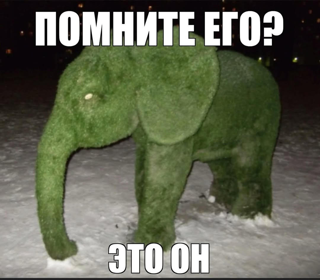 ПОМНИТЕ