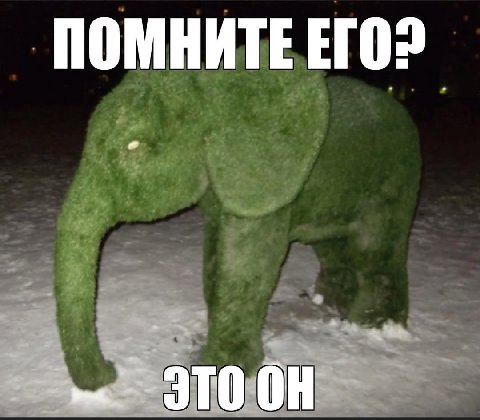 ПОМНИТЕ
