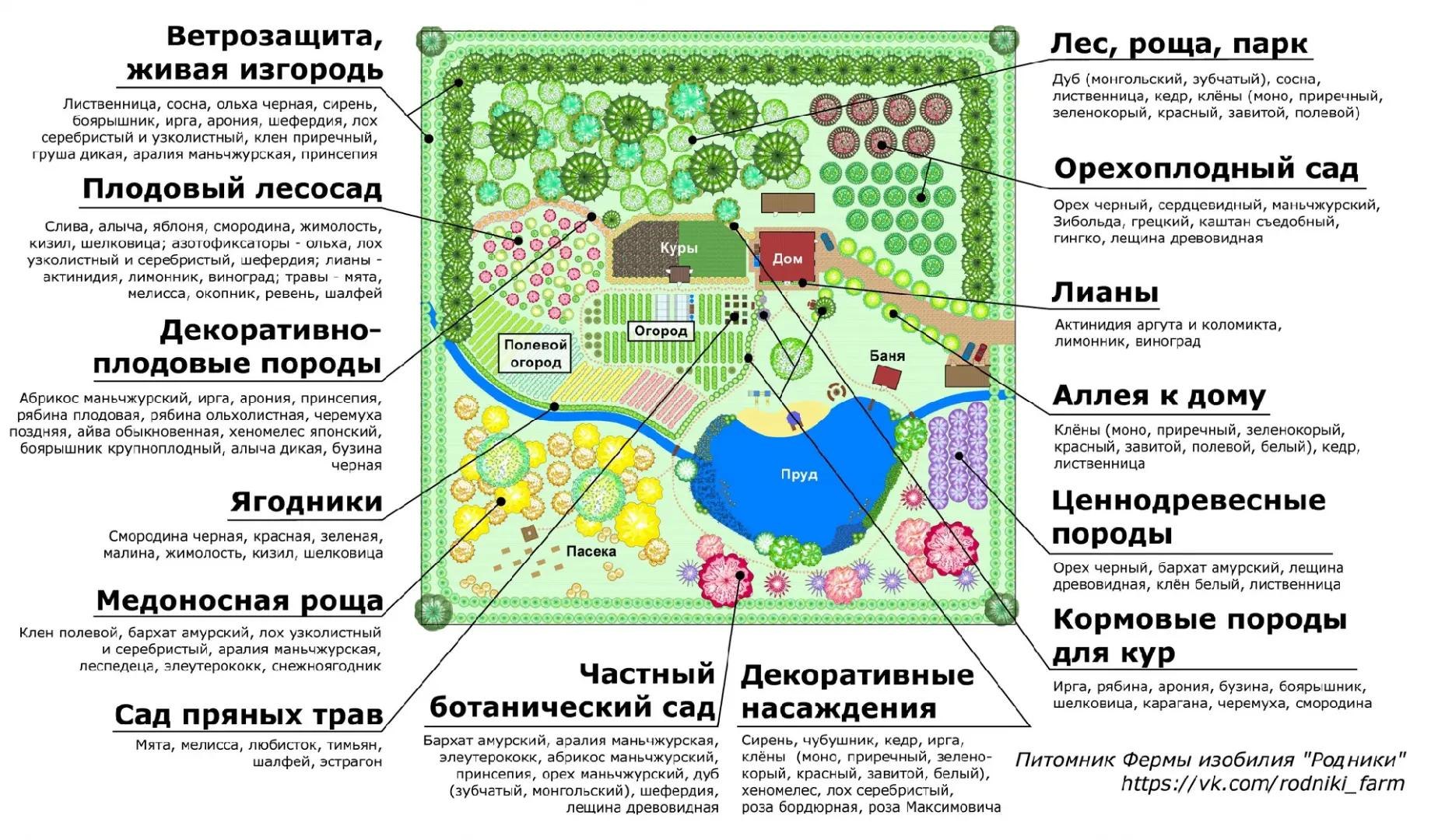 Ветрозащита, Лес роща, парк живая изгородь is Дуб (монгольский, зубчатый), сосна, Лиственница, сосна, ольха черная, сирень, лиственница, кедр, клёны (моно, приречный, зеленокорый, красный, завитой, по