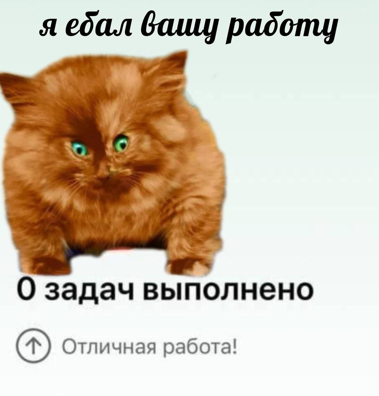 я ебал Gauy padomy О задач выполнено Отличная работа!