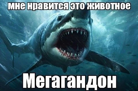 0% мне нравится Мегагандон